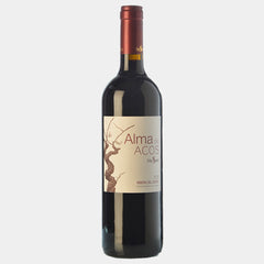 Alma de Acos - Wines and Copas Barcelona